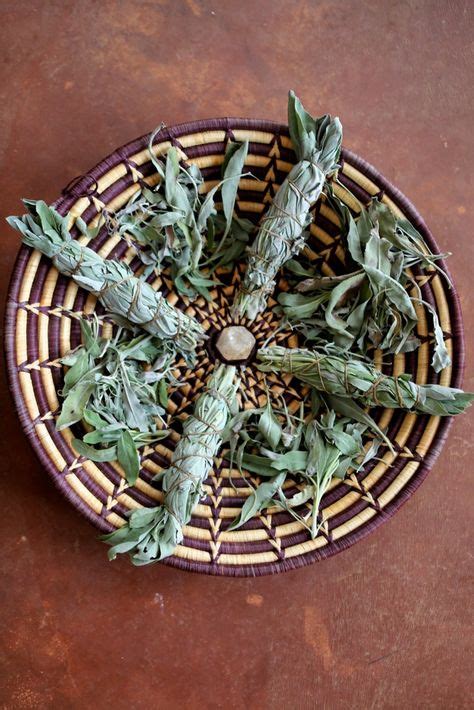 explore  beauty  white sage plants
