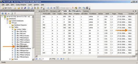 SQL Datenbank ThinPrint Support