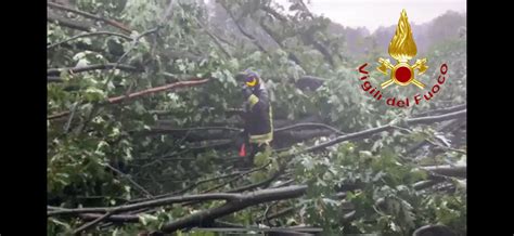 Alberi Caduti E Tetti Scoperchiati Per Il Maltempo Prima Como