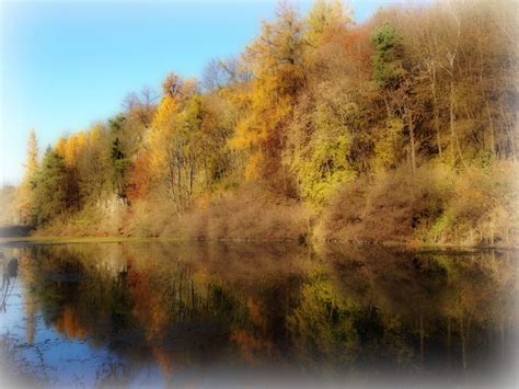 Fotos gratis paisaje árbol agua naturaleza bosque césped