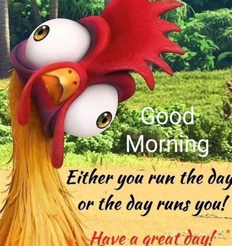 Pin By Deb Miller On New Good Morning Pins Funny Good Morning Messages Good Morning Funny