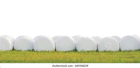 Wrapped Stacked Silage Bales Row Isolated Stock Photo