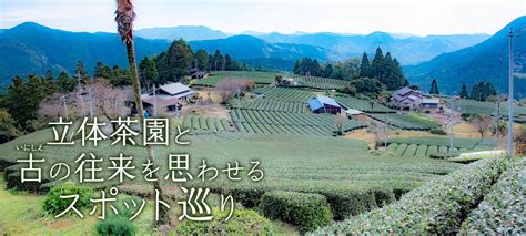 立体茶園と古の往来を思わせるスポット巡り 静岡県森町 観光協会 遠州の小京都