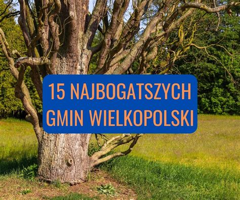 Ranking Najbogatszych Gmin W Wielkopolsce W Roku Jak Na Tym