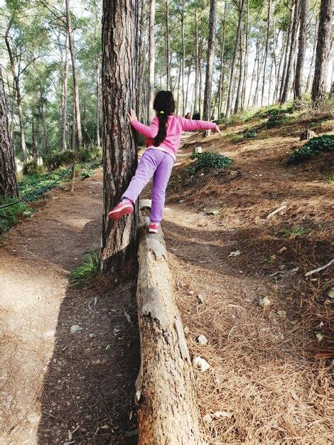 Premium Photo Girl Standing On Fallen Tree In Forest