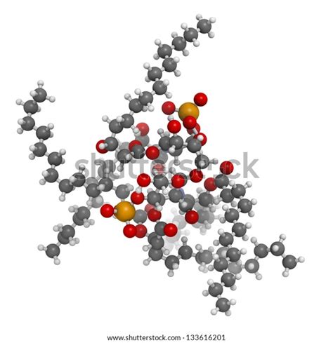 Lipid Bacterial Endotoxin Molecular Model Atoms Stock Illustration 133616201 | Shutterstock