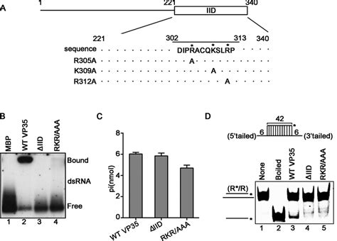 The Dsrna Binding Sites Of Ebov Vp Are Required For Its Helix