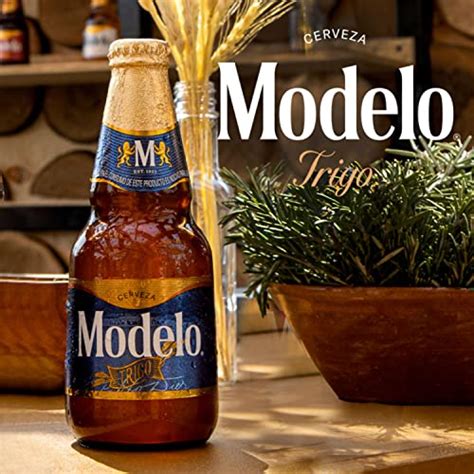 Descubrir Imagen Modelo Trigo Cerveza Abzlocal Mx