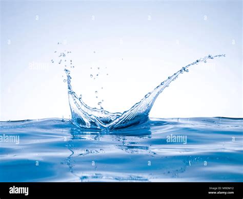 Abstract Blue Color Water Splash Crown Shape Isolated On Empty Clean