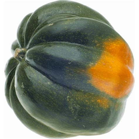 GOLDEN ACORN SQUASH | Squash & Zucchini | Roth's