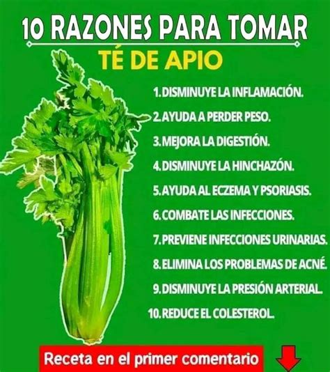 Beneficios De Tomar Jugo De Apio Todo Nathy