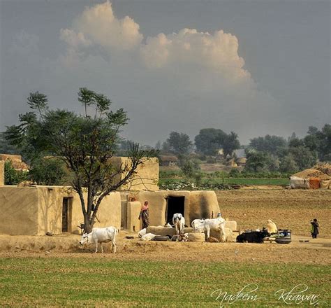 Punjabi village | Village photos, Pakistan culture, Punjab culture