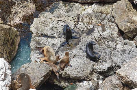 Aventura y naturaleza Reserva San Fernando paraíso entre arena y mar