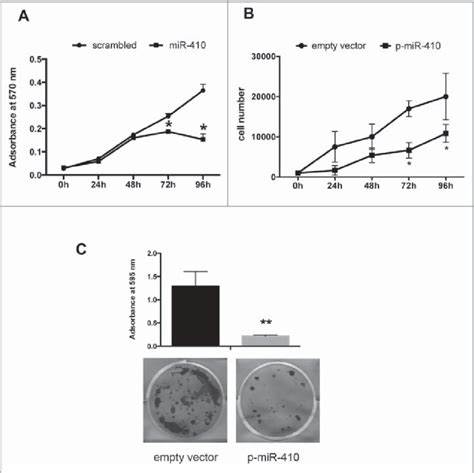 Mir 410 Inhibits Cell Proliferation Cell Growth Curve Of Hek 293 Cells