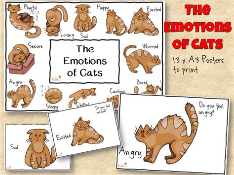 Cat Emotions Chart