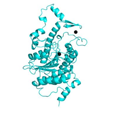 Drug Discovery ORNL Center For Molecular Biophysics