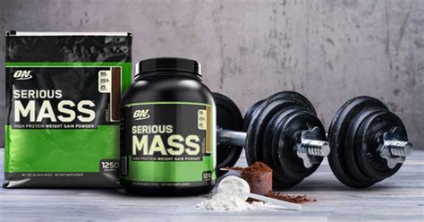 Top 10 Best Mass Gainers Reviews And Comparison 2024