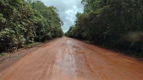 BR 174 Manaus A Boa Vista Trecho Da Reserva Maio De 2022 YouTube