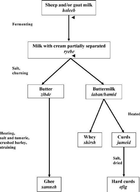 Steps In Processing Milk Into Ghee And Hard Curds As Typically Done In