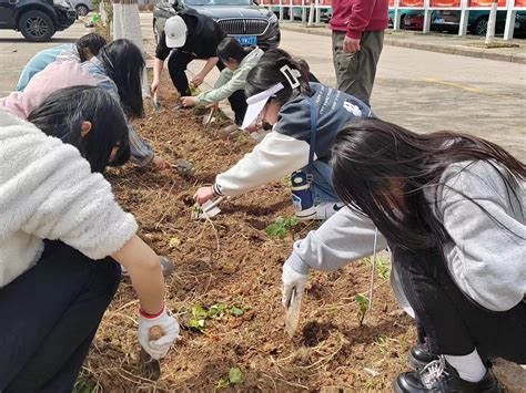 武汉华夏理工学院开展植树种花劳动教育活动 —湖北站—中国教育在线