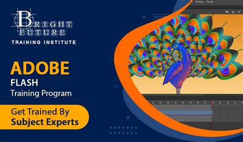 adobe flash training adobe flash training  dubai