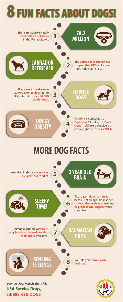 8 Fun Facts About Dogs! | Shared Info Graphics