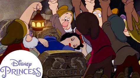 Disney Snow White With Dwarves