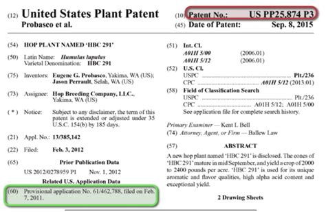 What Are The Different Types Of Patents Bold Patents Law Firm