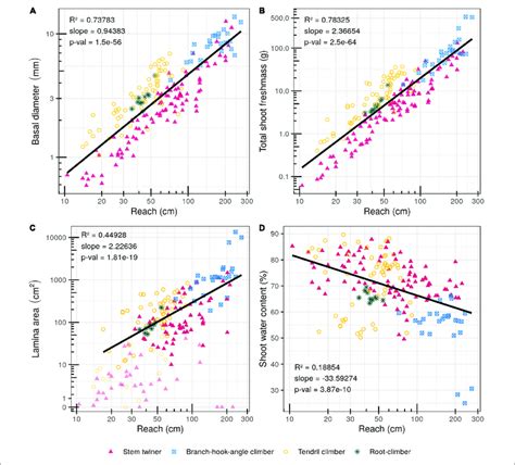 Bivariate Plots Log Scale Of Searcher Reach Cm And Morphological