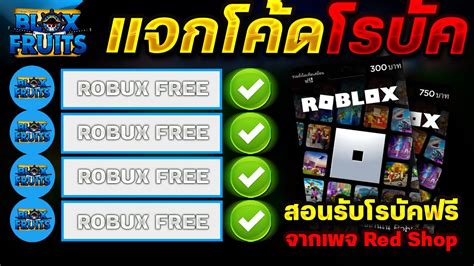 Blox Fruits แจกโคดโรบคฟรรบ 800 โรบคฟร ไดจรง100 สายฟร หาม