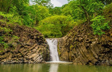 Wetland Nature Park Bataan Gov Ph