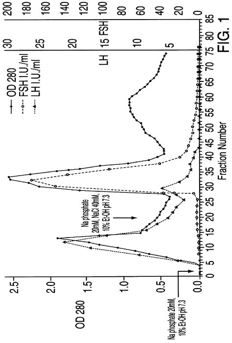 FSH and LH separation and purification process - Eureka | Patsnap
