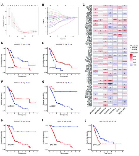 Derivation And Selection Of The Cafs Associated Lncrnas Signature In