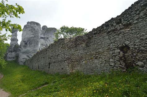 Podzamcze Zamek Ogrodzieniec Architektura Redniowiecza I Staro Ytno Ci