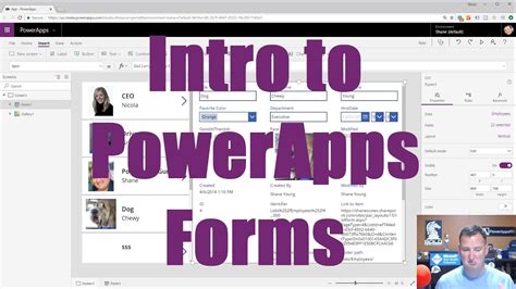 Powerapps Forms Introduction To Data Sources Data Cards And Layout Youtube