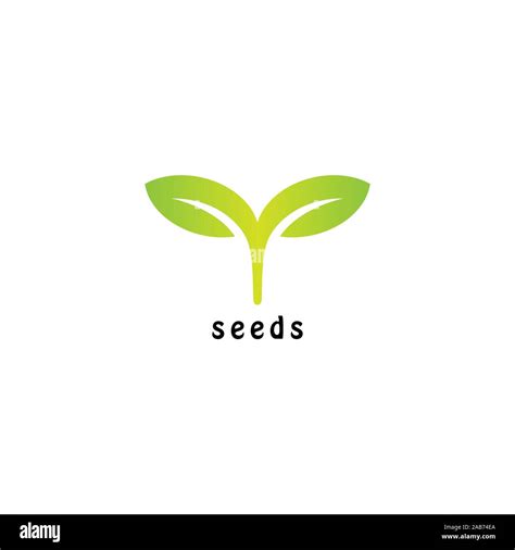 Seed Logo Design