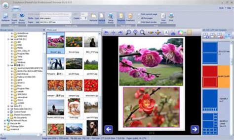 Epson Easy Photo Print Software For Mac - yellowyahoo