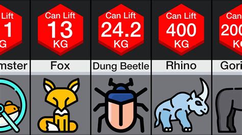 Comparison Animal Strength Youtube