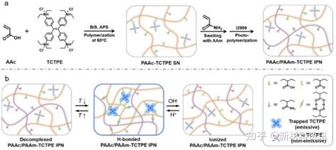 氢键增亮 AIEgens掺杂互穿网络水凝胶的发光行为和应用 知乎