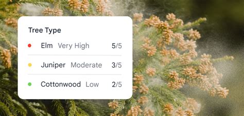 Pollen Data, Types & Information - Google Maps Platform