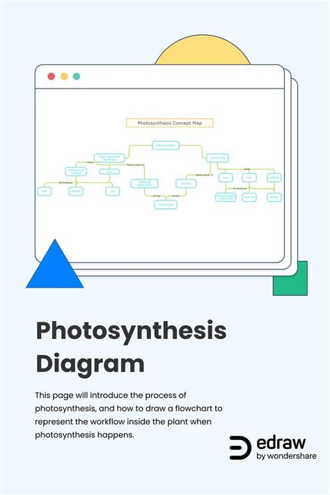 Photosynthesis Diagram Flow Chart Photosynthesis Concept Map