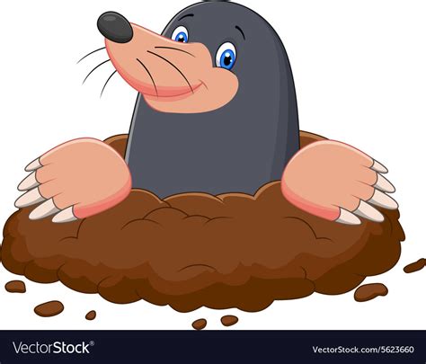 Cartoon Cute Mole Royalty Free Vector Image Vectorstock