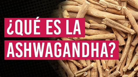 ¿qué Es La Ashwagandha 🌿 ¿para Qué Sirve Beneficios En El Deseo Sexual Youtube