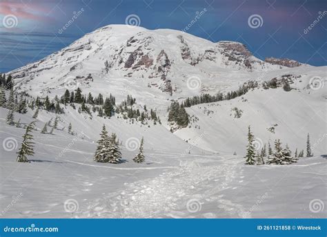 Beautiful View Of Mount Rainier In Winter With Footprints In The Snow