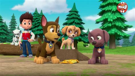 Paw Patrol La Pat Patrouille Replays Et Vid Os En Streaming Tf