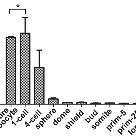 Temporal Expression Of MiR 202 5p In Mature Oocytes And Embryos At