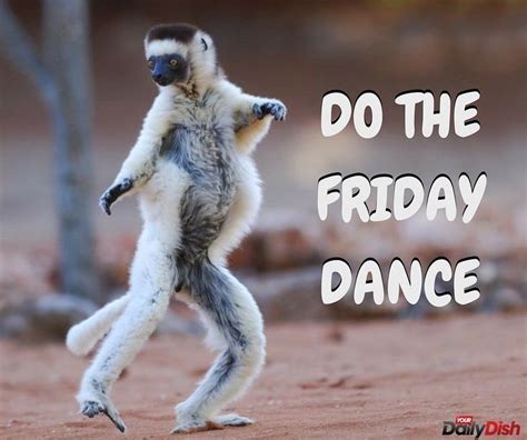 Friday Dance Party Night Dance Classes For Adults Coquitlam