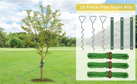 Fcends Tree Stakes And Supports For Leaning Trees Heavy