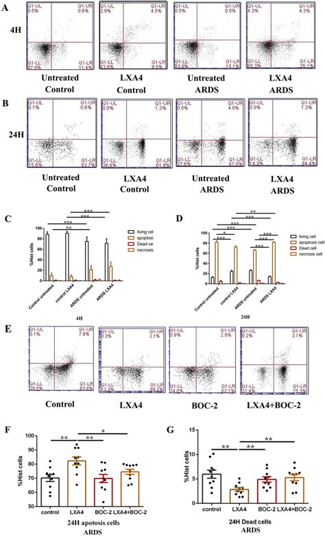 Impact Of LXA4 On Neutrophil Apoptosis In ARDS Rats During Inflammatory