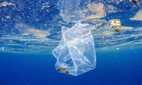 Working With Companies To Fix The Plastic Crisis On World Oceans Day